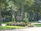 Beautiful tree lined drive along Cypresswood at Champion Forest