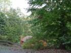Most of the homes in Lake Jackson are private hidden behind winding roads, and mature trees.