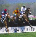 Gold Cup Races - Warrenton, VA