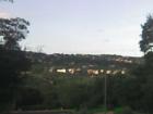 View from Cassava Drive in Westlake area