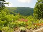 View of Blue Ridge Mountains