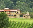 Chateau O'brien at Northpoint Winery & Vineyard - Markham, VA