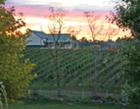 Marterella Winery & Vineyard - Warrenton, VA
