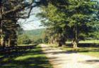 Bed and Breakfast at Pitzenpeeks Farm - Upperville, VA