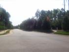 Gorgeous tree lined entrance at the front of Bedford. 