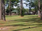 Foley Kid's Park