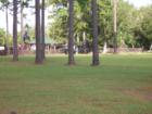 Foley's Kid Park
