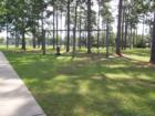 Foley Kid's Park