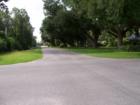 Foley, AL example of one of the many tree lined roads in the downtown area.