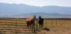 Sikes Ranch