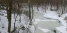 Broad Run Winter Scene