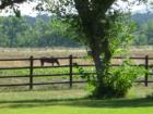 Hatchet Ranch