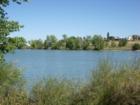 Lake Beckwith