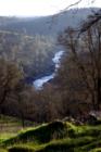 View of the Consumnes River from a 73 acre parcel just south of Latrobe
