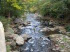A stream along Braman Road in Manchester Township, near Equinunk.  Wayne County PA.