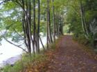 River Road, Equinunk PA.  Wayne County, Manchester Township.