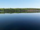 White Deer Lake is not in Greeley but near Blooming Grove.  