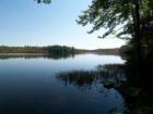 White Deer Lake is not in Greeley but near Blooming Grove.  