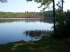 White Deer Lake is not in Greeley but near Blooming Grove.  
