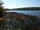 White Deer Lake is not in Greeley but near Blooming Grove.  