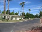 Sandpiper patio homes, located in Scottsdale, are surrounded by large grassy areas  with some small areas of desert landscaping.  Pine, palm, and citrus trees fill the landscape.