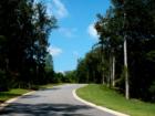 Gorgeous hardwoods in this exclusive East Carroll County community of custom built homes.