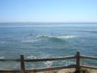 Pleasure Point, Santa Cruz, CA - High Tide, September 27, 2007 View from Around 37th Ave & East Cliff (c) Deborah Ryman