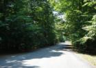 Occoquan Forest