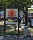 Del Ray Farmers Market