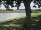 Pond in Riverwalk Neighborhood - Hutto, TX
