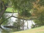 Pond in Riverwalk Neighborhood - Hutto, TX