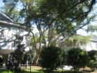 Small quaint community of ten units. Nestled in among the Live Oak Trees. Relax and catch the ocean breeze and listen to the birds in the surrounding trees. 