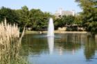 Lakeside on Preston - Plano, Texas - Photography by Precious Memories - For more information on this community contact Christy Singleton at 214-770-5660. 
      