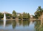 Lakeside on Preston - Plano, Texas - Photography by Precious Memories - For more information on this community contact Christy Singleton at 214-770-5660. 
      