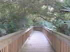 Nature trail at the Ponce Inlet park, near the inlet and jetty. I loved the light and the way the trees created the feeling of complete privacy on this peaceful trail.