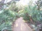 A peaceful nature trail in Ponce Inlet. 