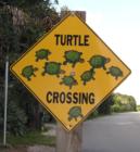 Sign near the parks and inlet. I thought this was adorable. And since no one else had uploaded it, I couldn't resist =)