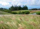Vacant land for sale in Haiku.  Lot size 2 acres or more.
