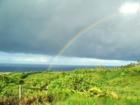North shore tradewinds bring rainbows.