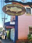 Local artist makes fish prints on Maui.