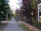 Tree Lined Streets of Breckenridge in the Fall