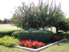 Surrey Hills Has a Very Active Garden Club which Maintains Lovely Plantings