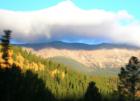 The Aspens are turning in Park County, Colorado