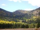 Autumn brings beautiful turning Aspens in Park County