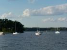 Sailboats on Lake Minnetonka