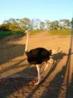 A day at Lake Tobias Wildlife Refuge, Halifax PA.