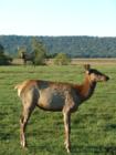 A day at Lake Tobias Wildlife Refuge, Halifax PA.