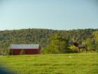 A day at Lake Tobias Wildlife Refuge, Halifax PA.
