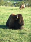A day at Lake Tobias Wildlife Refuge, Halifax PA.