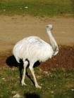 A day at Lake Tobias Wildlife Refuge, Halifax PA.
